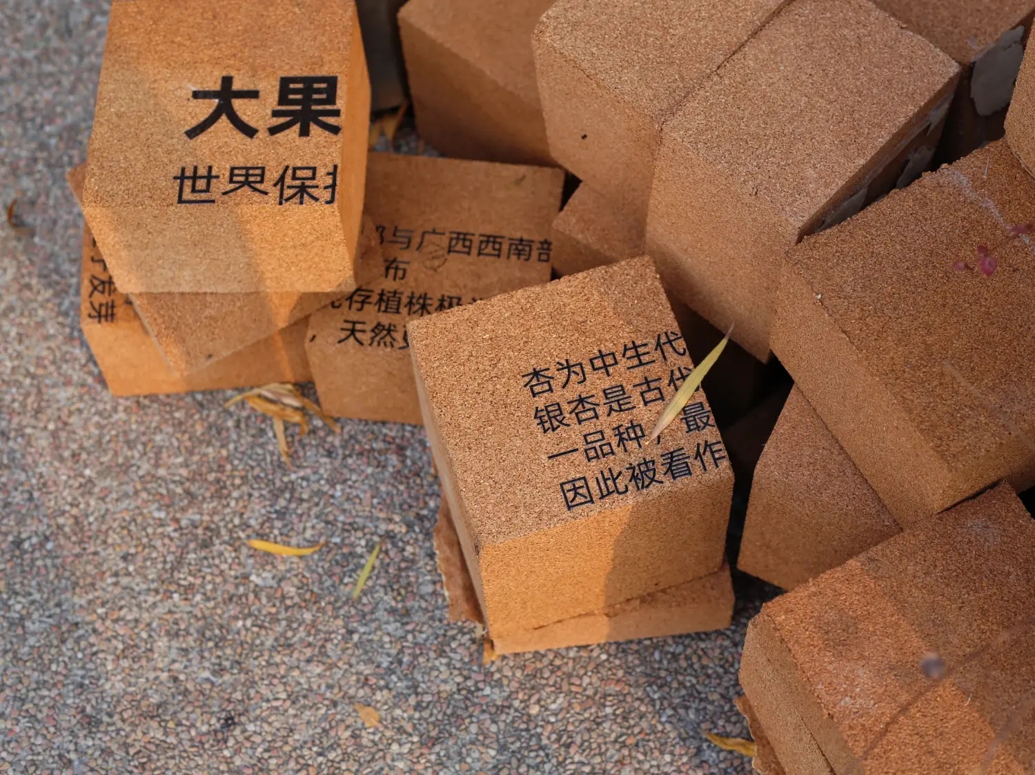 Food Cart - Daning Park
