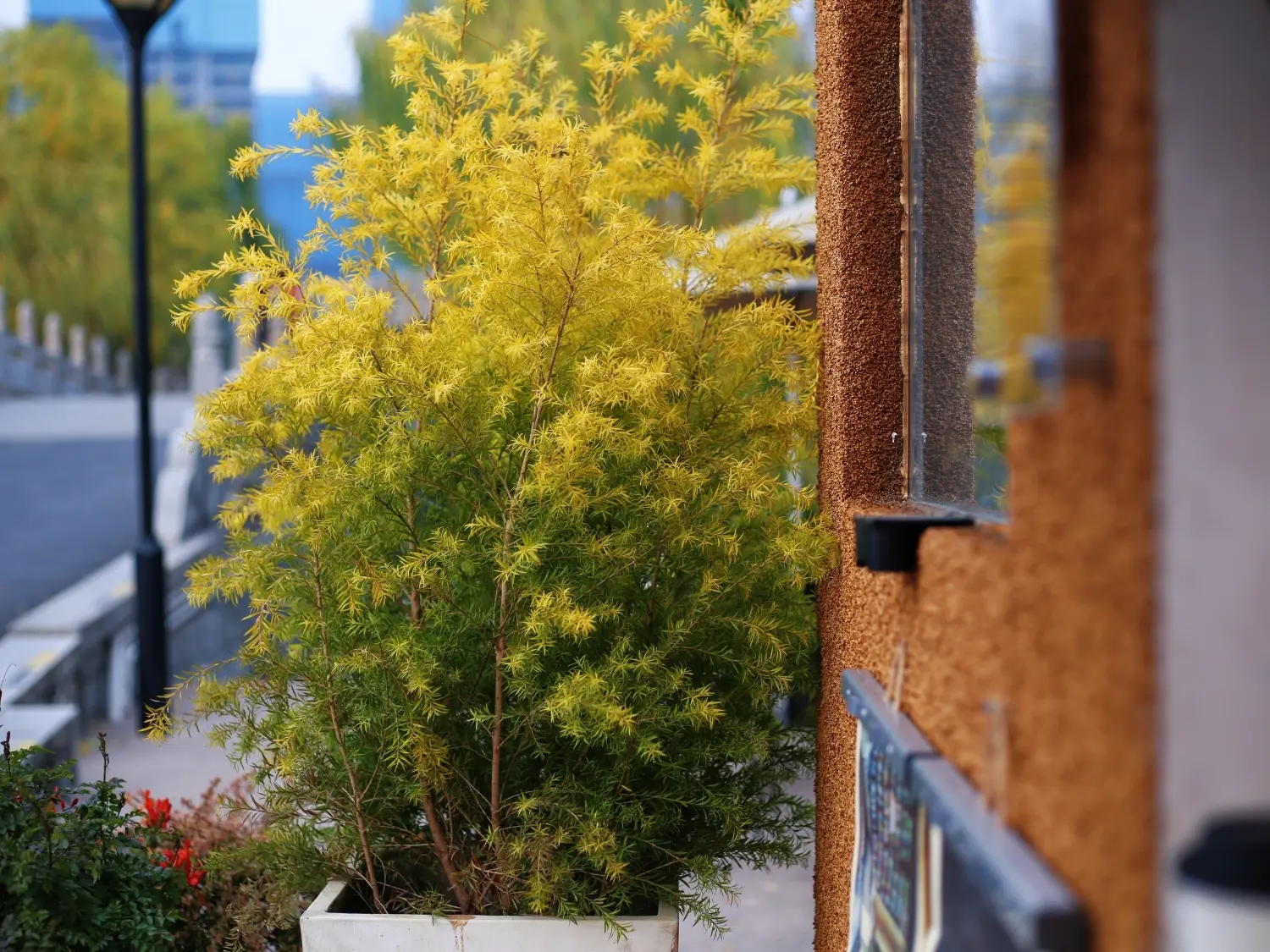 Food Cart - Daning Park