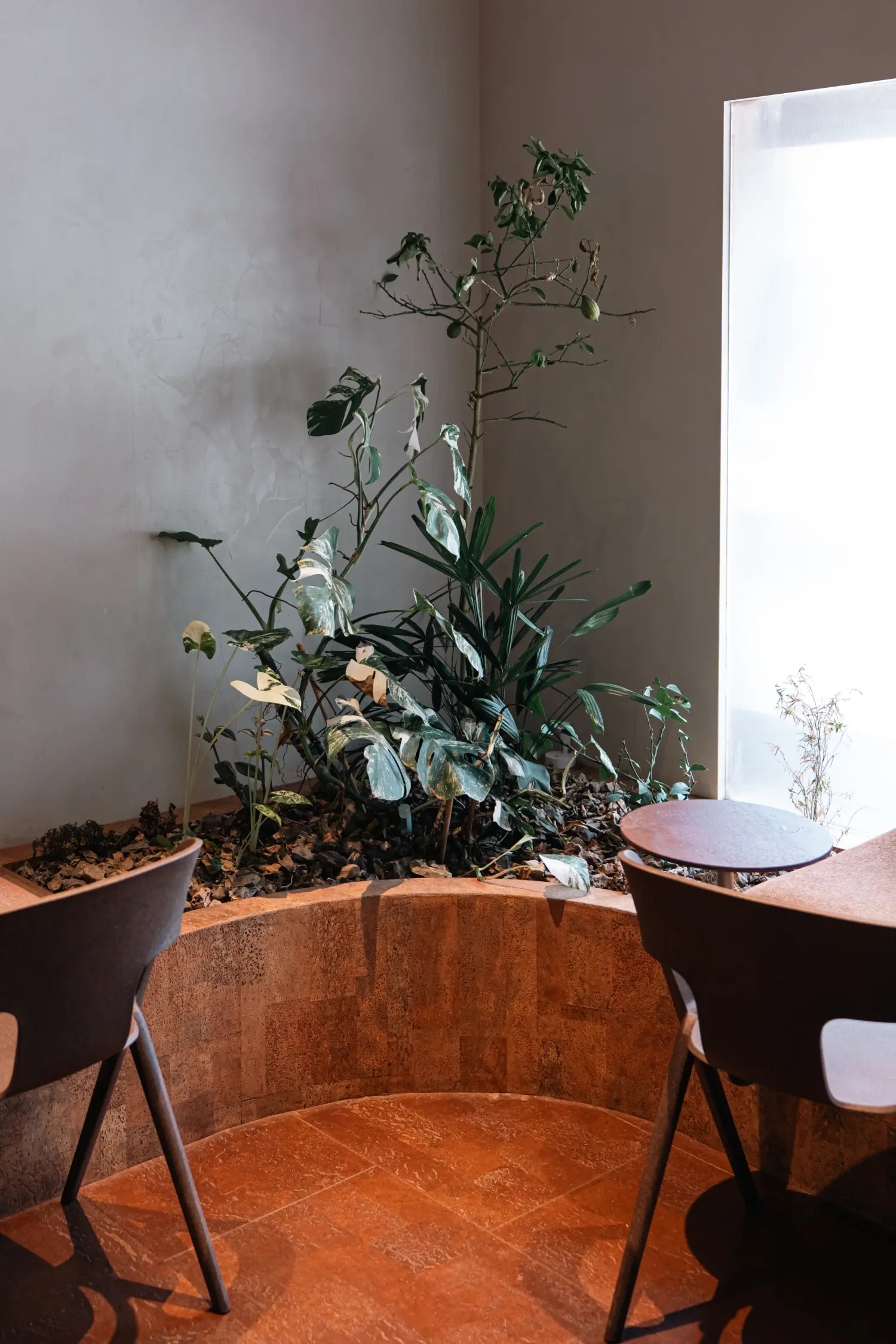 Aftertaste Cork Case