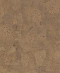 Sample 13