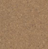 Sample 15