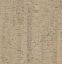 Sample 17