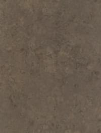 Sample 6